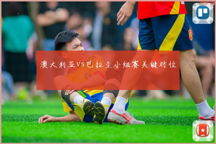 澳大利亚vs巴拉圭小组赛关键对位