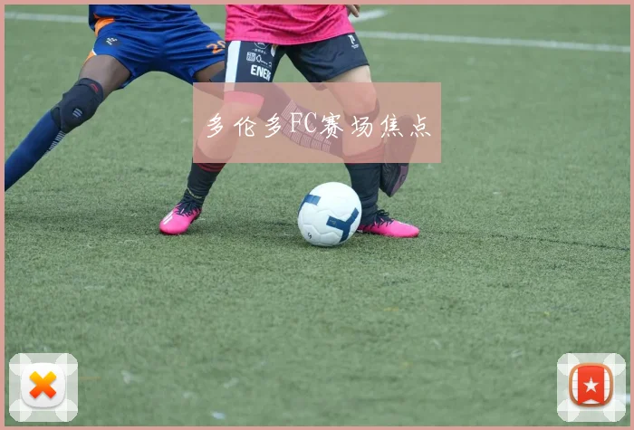 多伦多FC赛场焦点