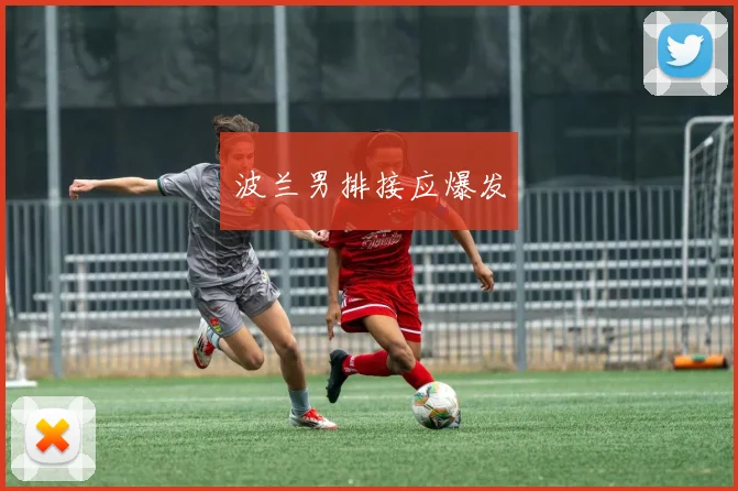 波兰男排接应爆发