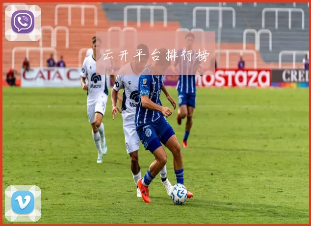 云开平台排行榜