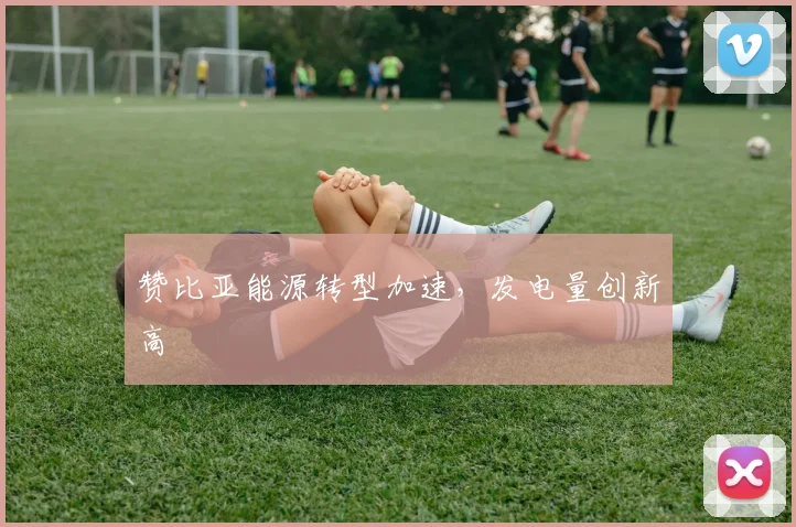 赞比亚能源转型加速，发电量创新高