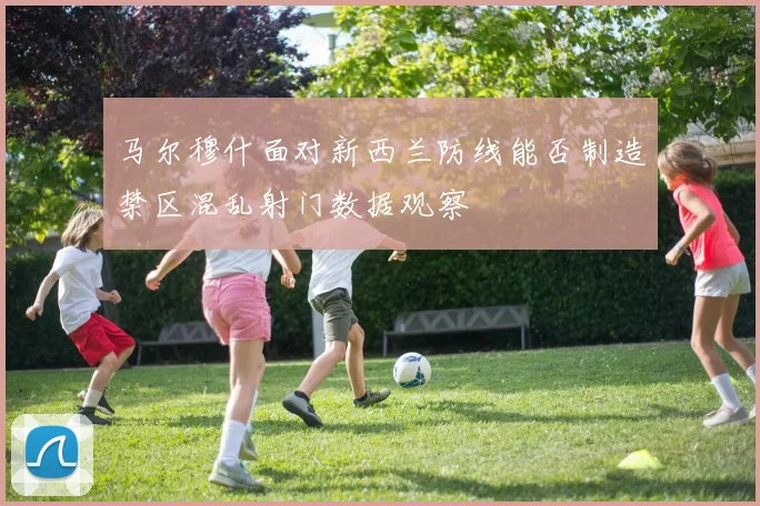 马尔穆什面对新西兰防线能否制造禁区混乱射门数据观察