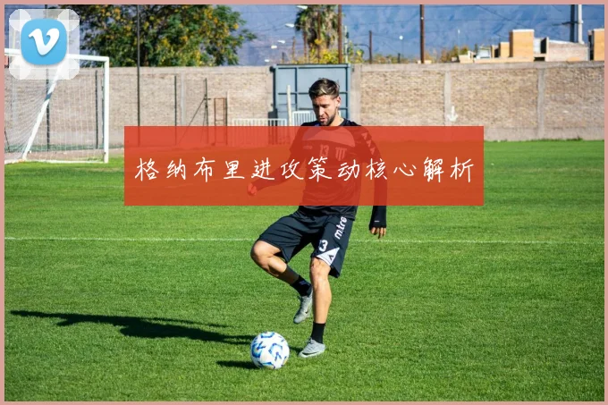 格纳布里进攻策动核心解析