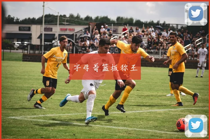 字母哥篮板称王