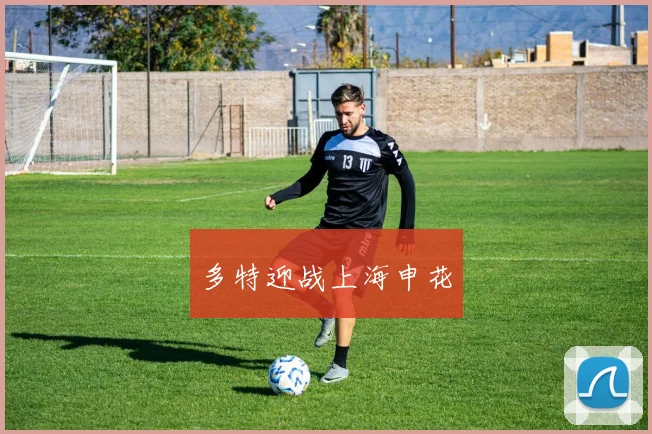 多特迎战上海申花