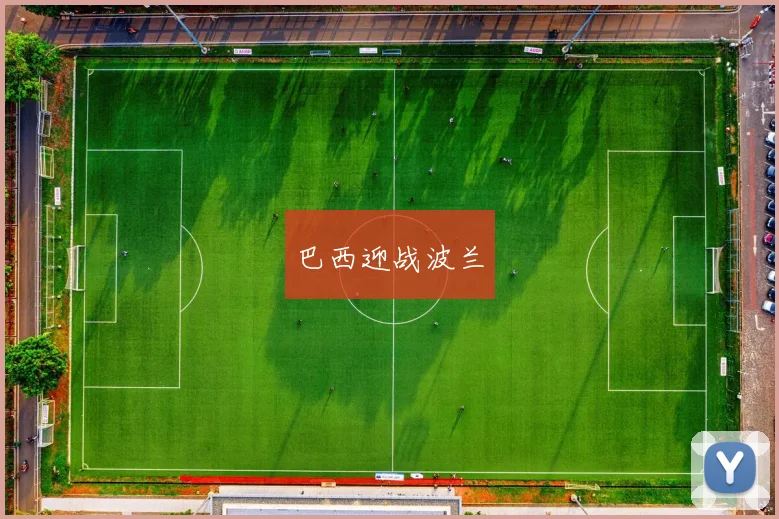 巴西迎战波兰