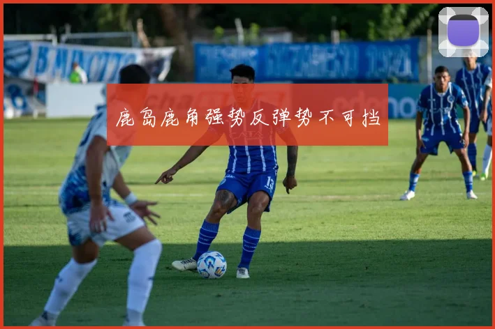 鹿岛鹿角强势反弹势不可挡