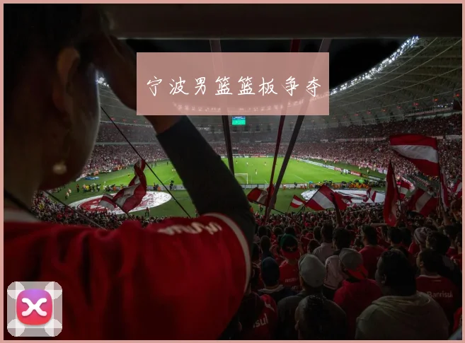 宁波男篮篮板争夺