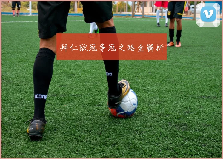 拜仁欧冠争冠之路全解析