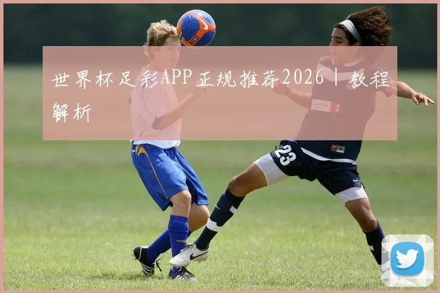 世界杯足彩APP正规推荐2026｜教程解析