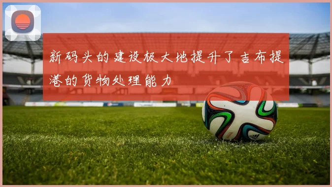 新码头的建设极大地提升了吉布提港的货物处理能力