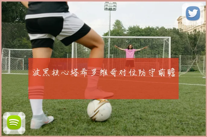 波黑核心塔希罗维奇对位防守前瞻