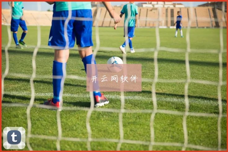 开云网软件
