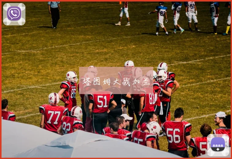 塔图姆大战加兰