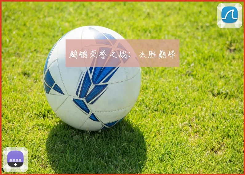鹈鹕荣誉之战：决胜巅峰