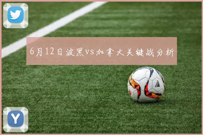 6月12日波黑vs加拿大关键战分析