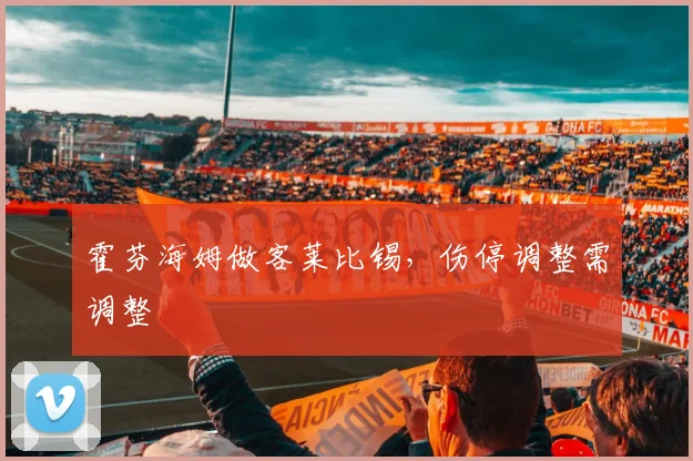 霍芬海姆做客莱比锡，伤停调整需调整